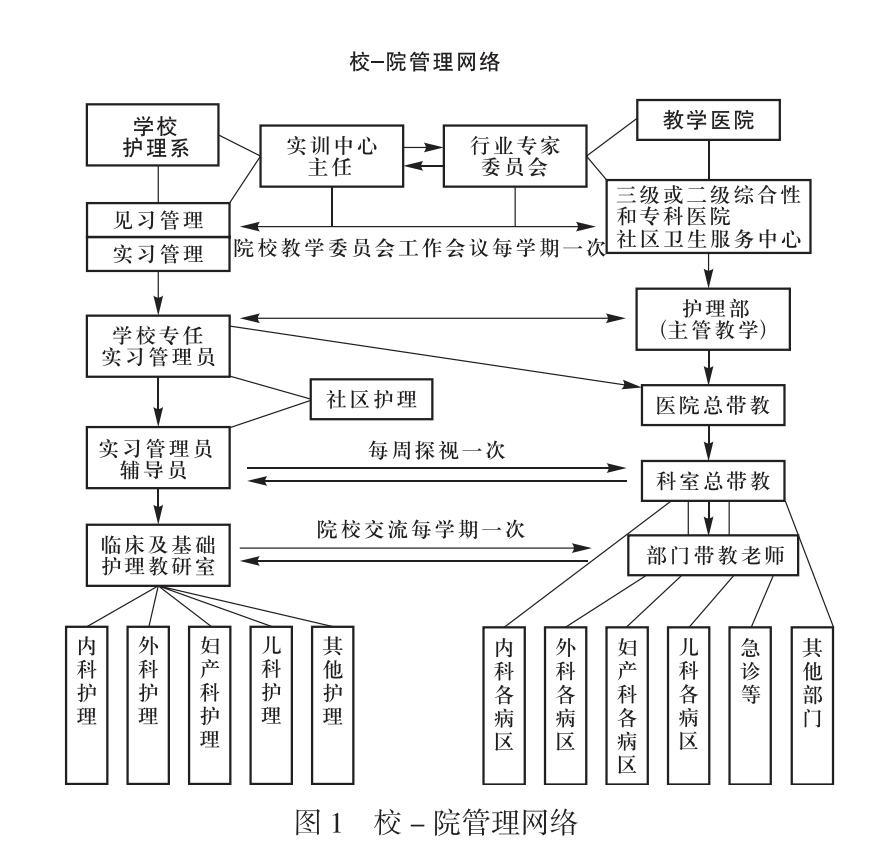 護理(中國普通高等學校專科專業)