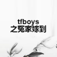 tfboys之冤家嫁到