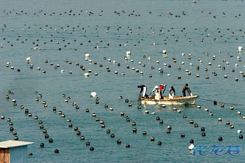 北海市潿洲島鳥類保護區