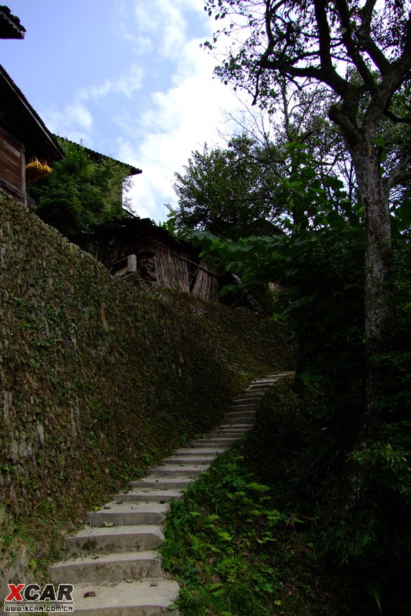 麻鳥村