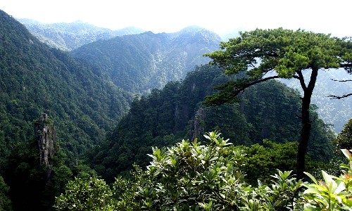 莽山森林公園