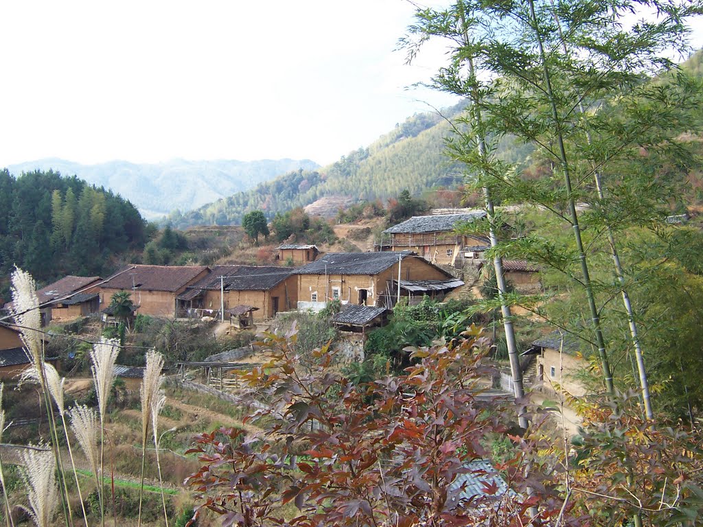 河對門自然村(羅坎鎮茶蔚村委會下轄自然村)