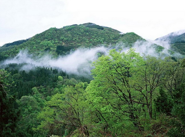 心景縉雲