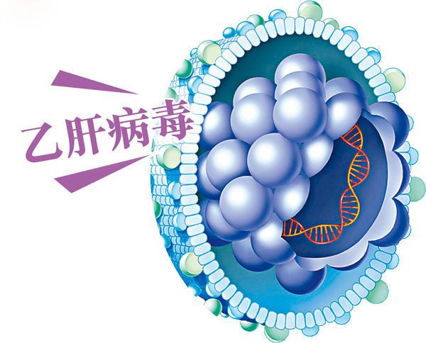 隱匿性B肝病毒感染