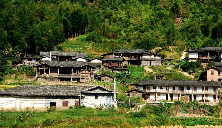 湖景村(福建省泉州市德化縣龍門灘鎮下轄村)