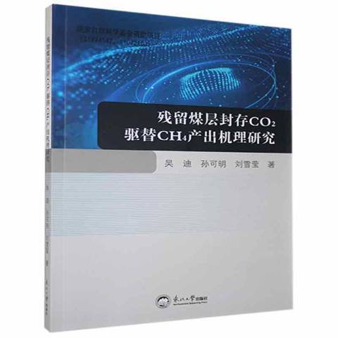 殘留煤層封存CO2驅替CH4產出機理研究