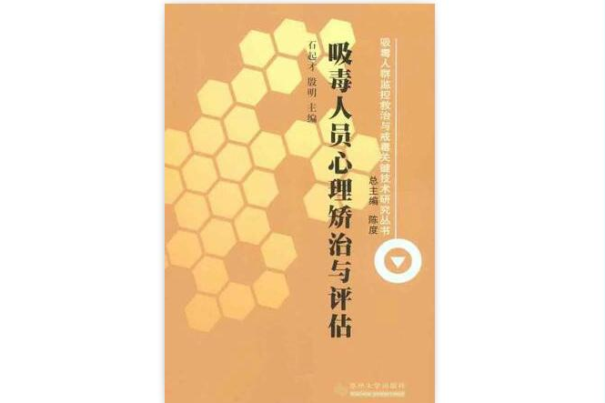 吸毒人群監控救治與戒毒關鍵技術研究叢書-共三冊