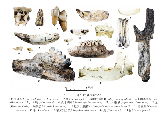 玉米洞遺址