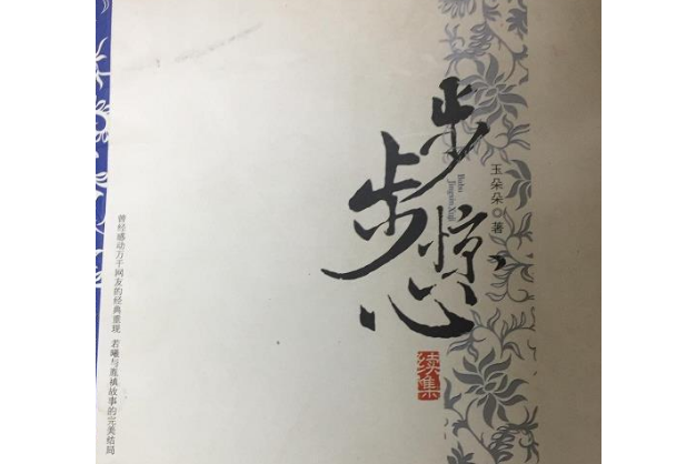 步步驚心(2007年花山文藝出版社出版的圖書)