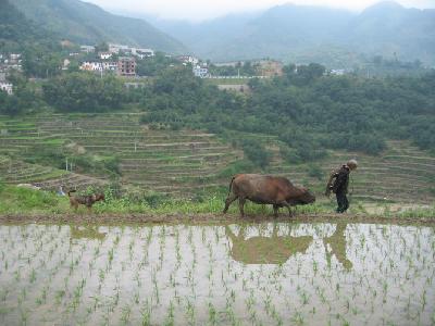 仙人塘村