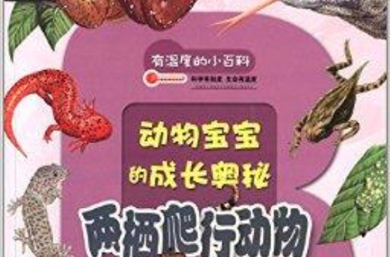 有溫度的小百科：兩棲爬行動物