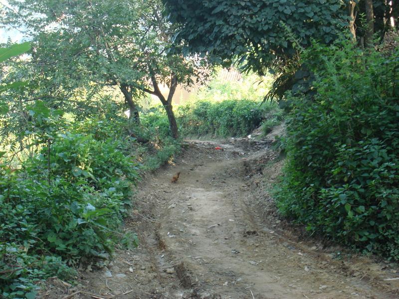 園邊田自然村