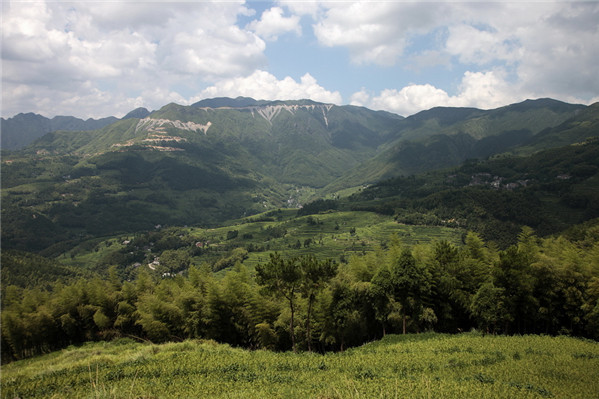 白山嶺古道