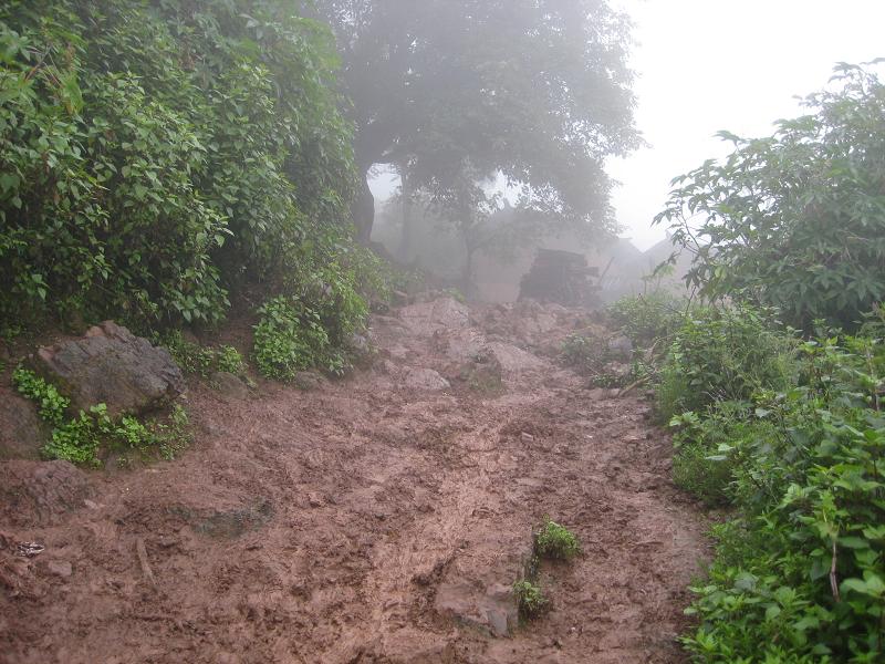 雲南武定縣環州鄉拉務村委會桃樹村進村道路