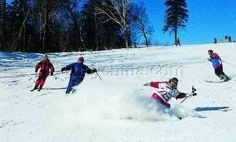 桃山滑雪場圖片