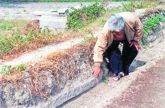 湮沒在農田中的橋面石板