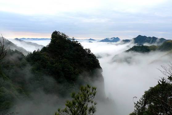 浙江銅鈴山國家森林公園(銅鈴山國家森林公園)