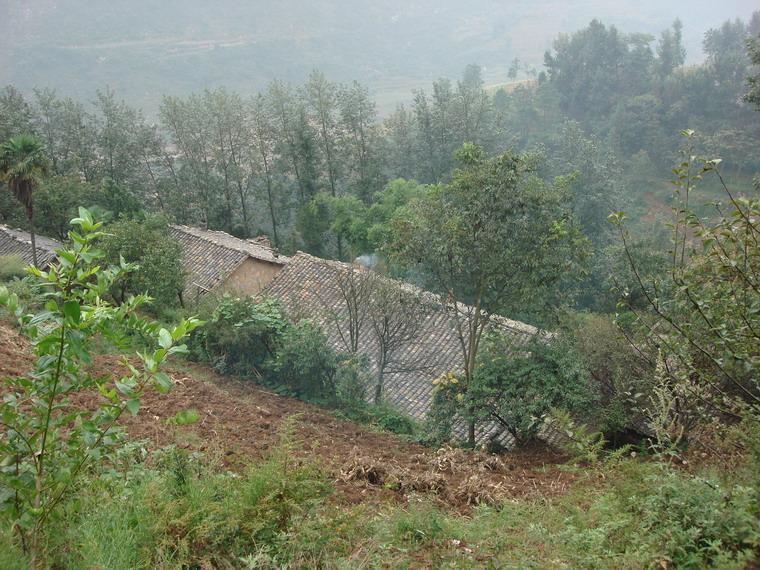 陶家墳村(北京市順義區仁和鎮下轄村)