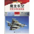 鷹主長空空軍及其武器裝備