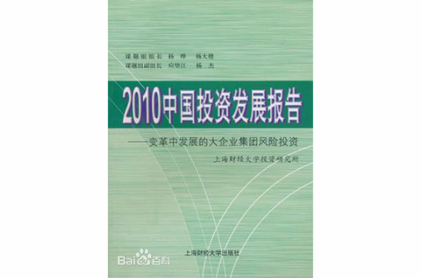 2010中國投資發展報告