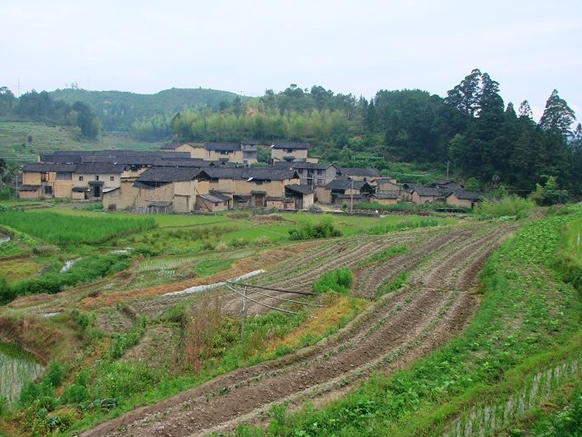 蜂段自然村