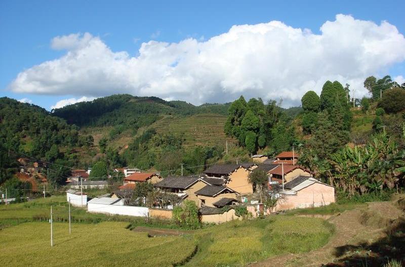 王家自然村(雲南省臨滄鳳慶縣勐佑鎮河東村王家自然村)