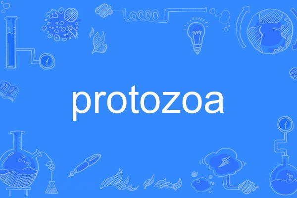 protozoa