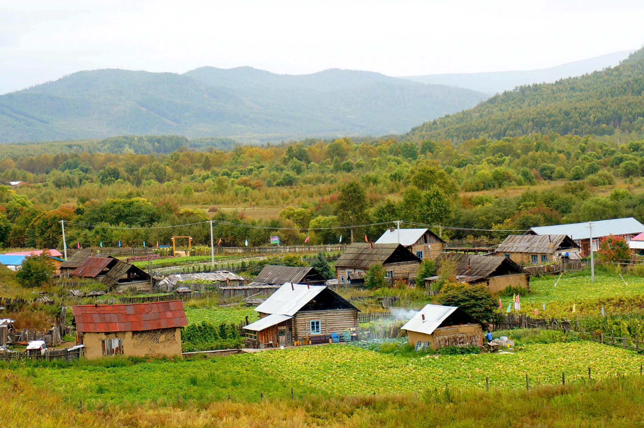 太平村