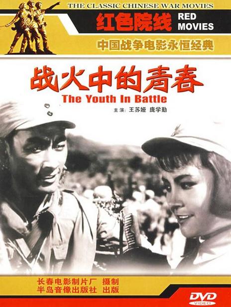 戰火中的青春(DVD)