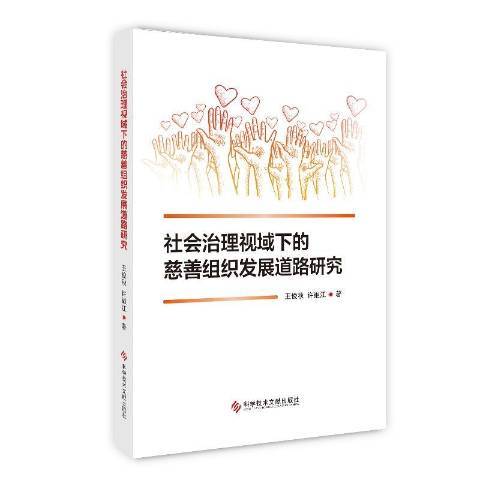 社會治理視域下的慈善組織發展道路研究