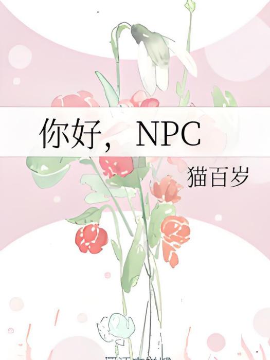 你好，NPC