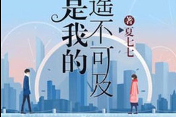 你是我的遙不可及(夏七七所著小說)