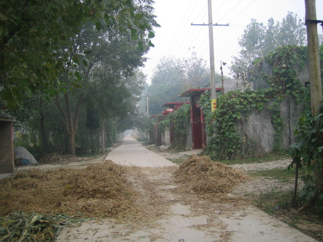 田樓中心路