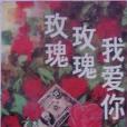 玫瑰玫瑰我愛你(1993年人民文學出版社出版的圖書)