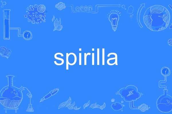 spirilla