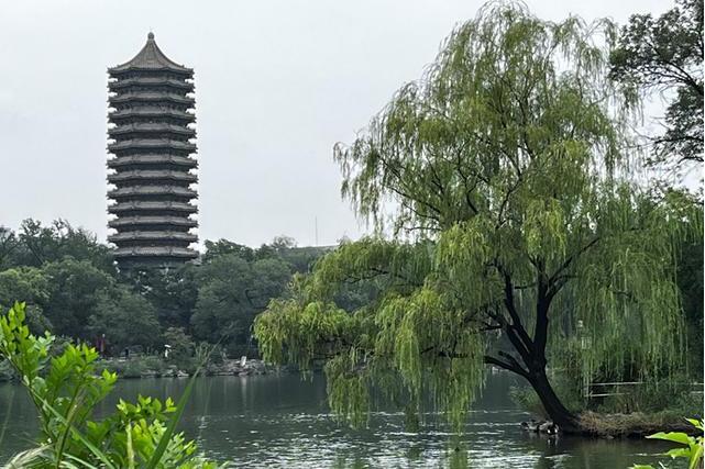 北京大學校園自然保護小區