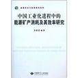 中國工業化進程中的能源礦產消耗及其效率研究