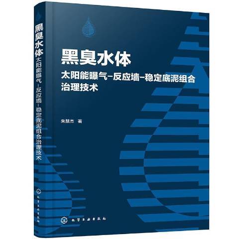 黑臭水體太陽能曝氣-反應牆-穩定底泥組合治理技術