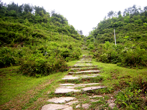 鎮岑古道遺址陳家山段現狀