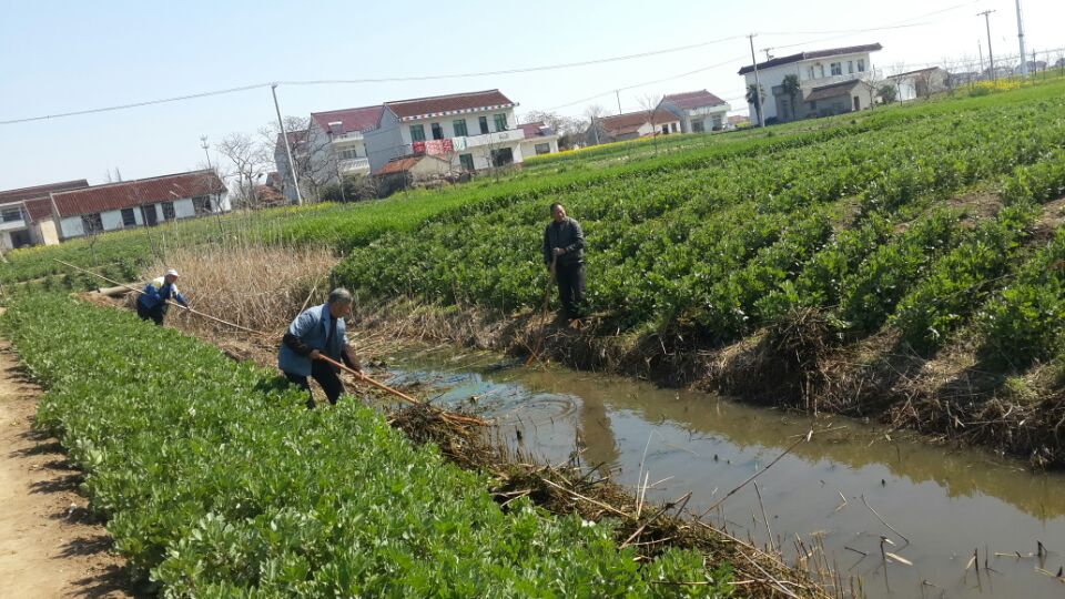 中北村(廣西南寧市西鄉塘區壇洛鎮下轄村)