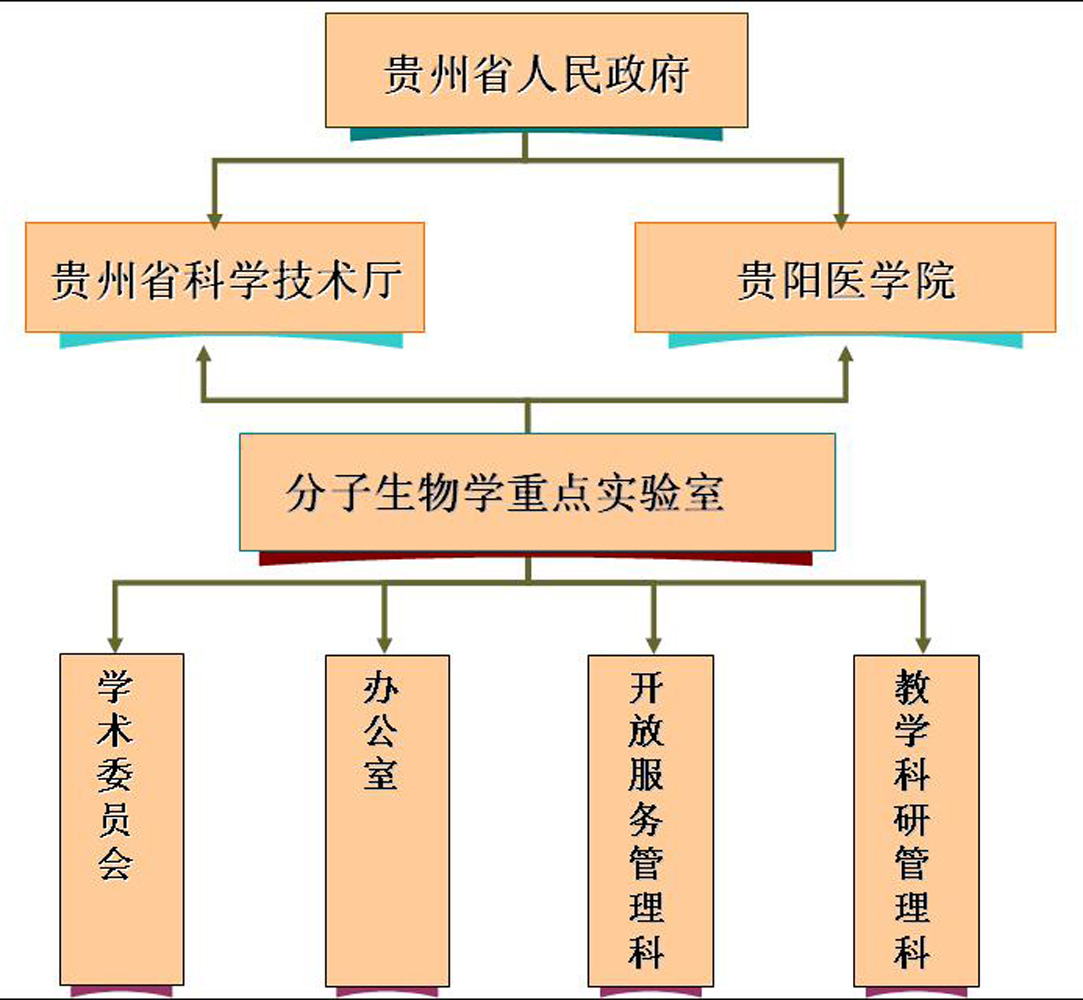 組織機構