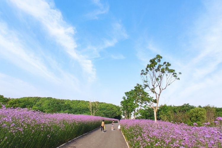 巴城生態觀光園