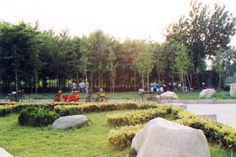 西郊森林公園