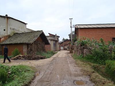 龍福村