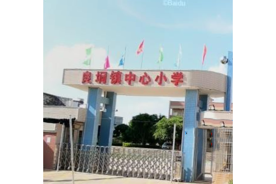 湛江市廉江市良垌鎮中心國小