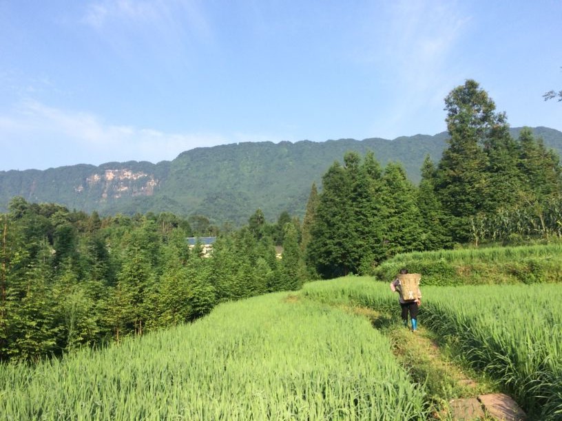 洪雅花溪鎮