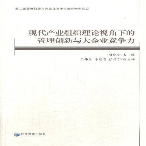 現代產業組織理論視角下的管理創新與大企業競爭力