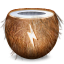 coconutBattery