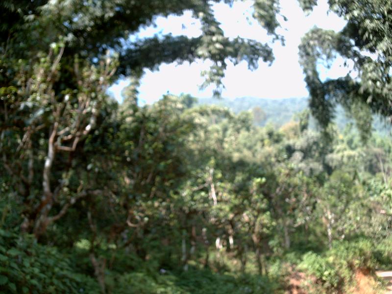 石洞寺自然村