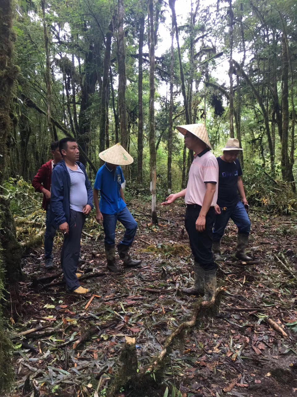 2017年8月8日朗傑剛村待種植石斛的基地及周邊生態一角